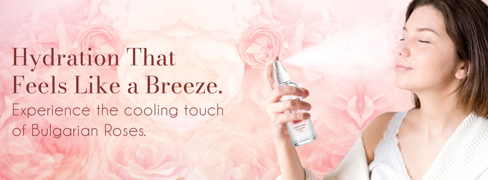 bannerslide banner